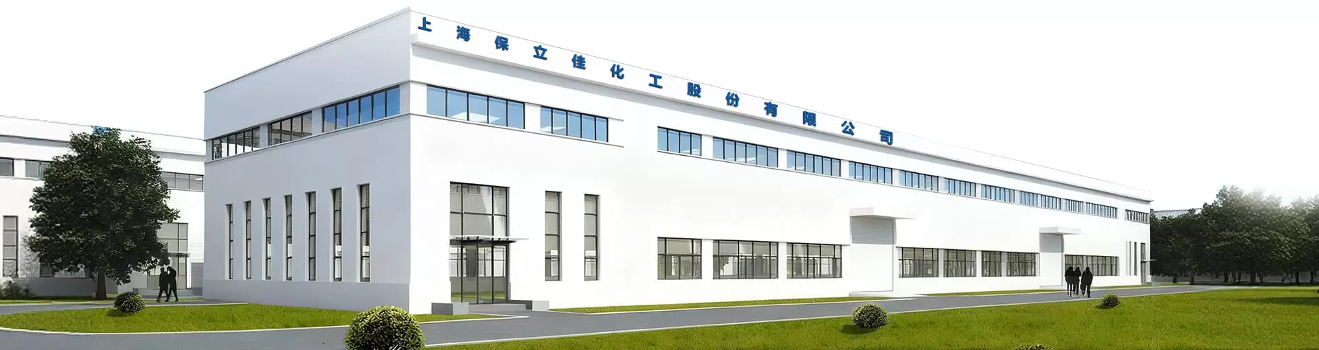 Company Profile